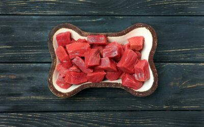 Why raw dog food is the best kind of wet food | Pawfectly Raw 